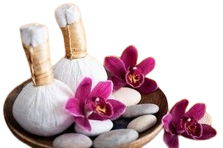 download__3_-removebg-preview