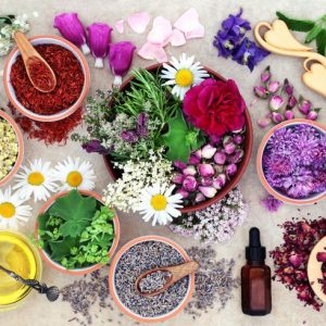 Herbs and Flowers jigsaw puzzle